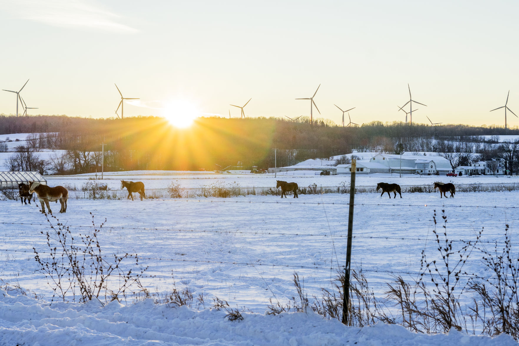 1204_wdj_snowlowville_JH01.JPG